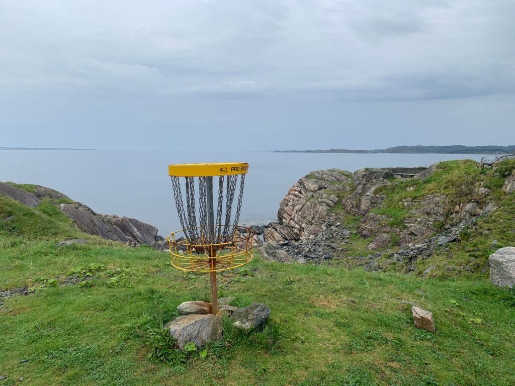 Basket disc golf